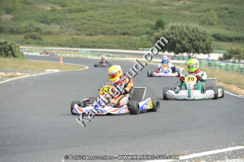 DSC (3550).JPG